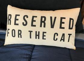 Throw Pillow Collection